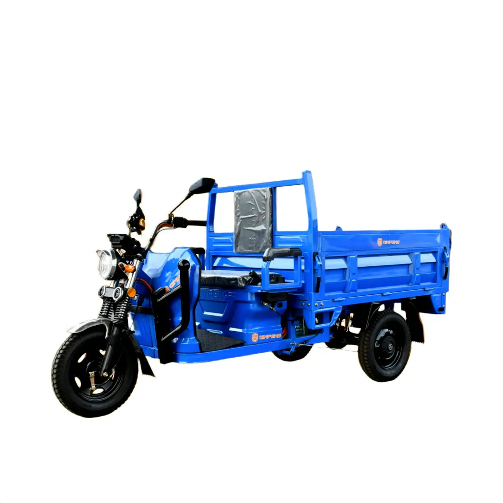 Tricycle électrique NeoDrive Iron
